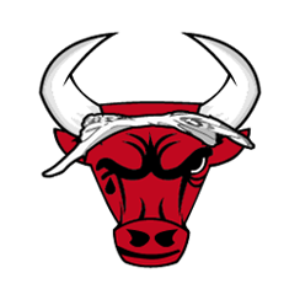 BULLS