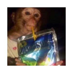 Caprisun Monkey