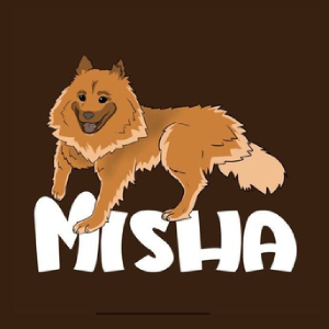 MISHA