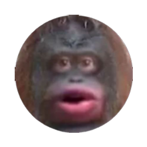 Monke