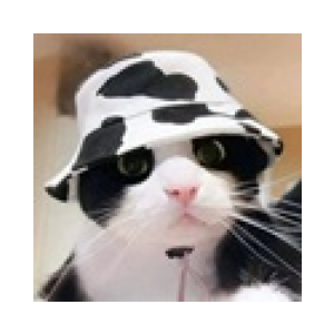 MooCat