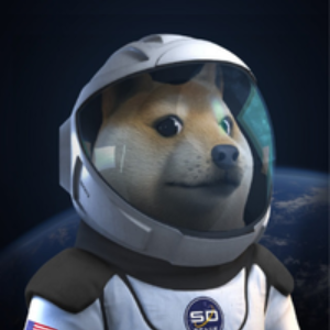 DOGE on Solana